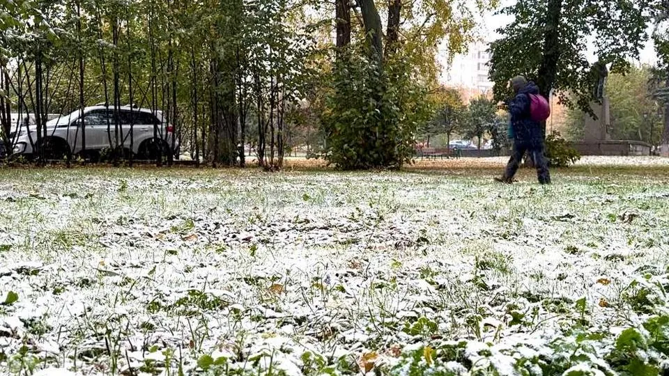 Фото: МедиаБанк Подмосковья/Ксения Казакова