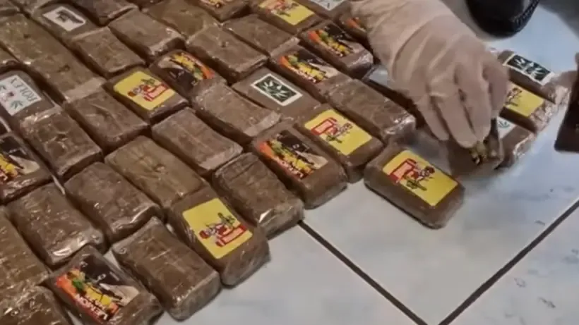 Фото, скриншот видео «МВД Медиа»