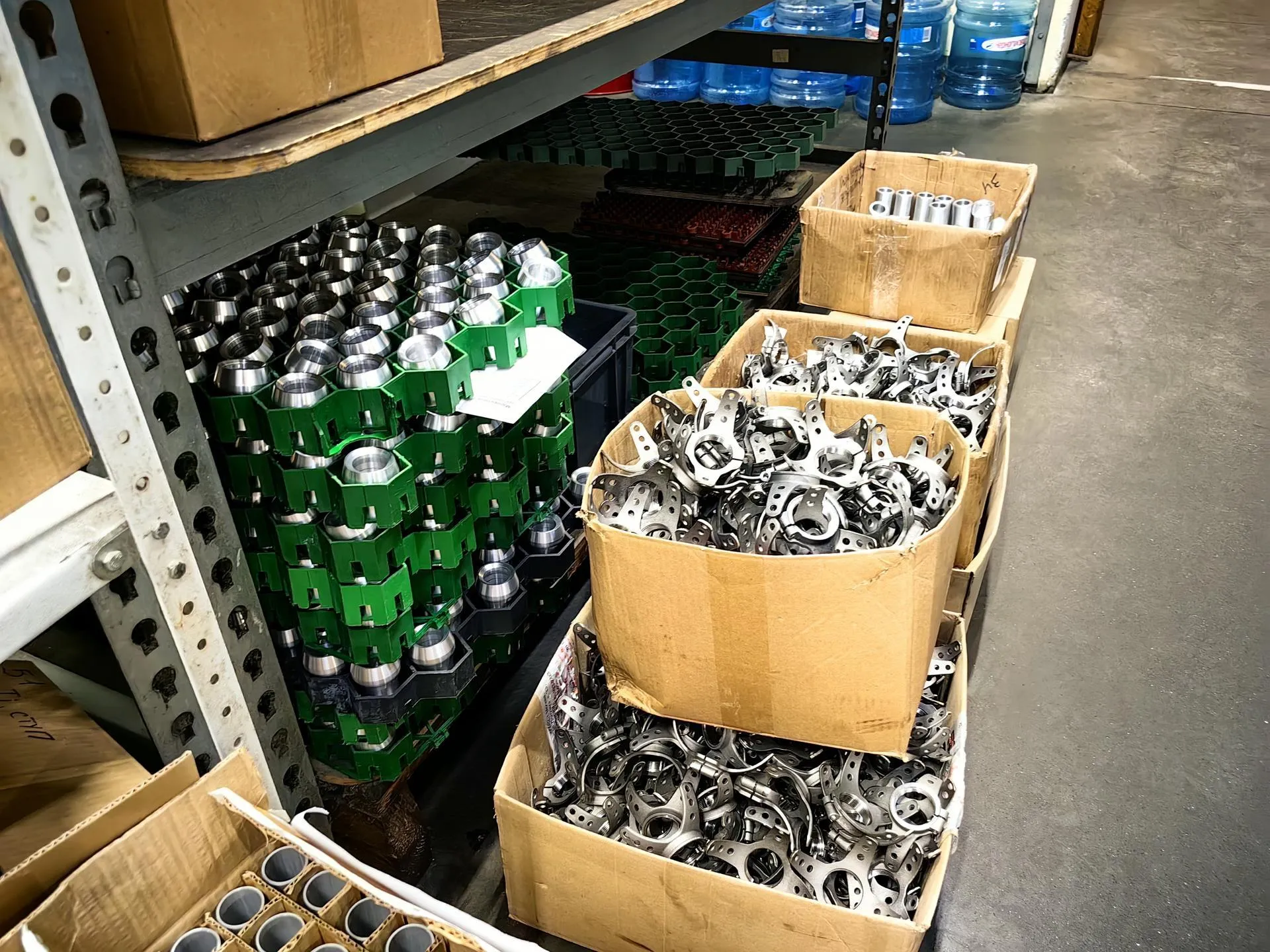 Елена Катасонова