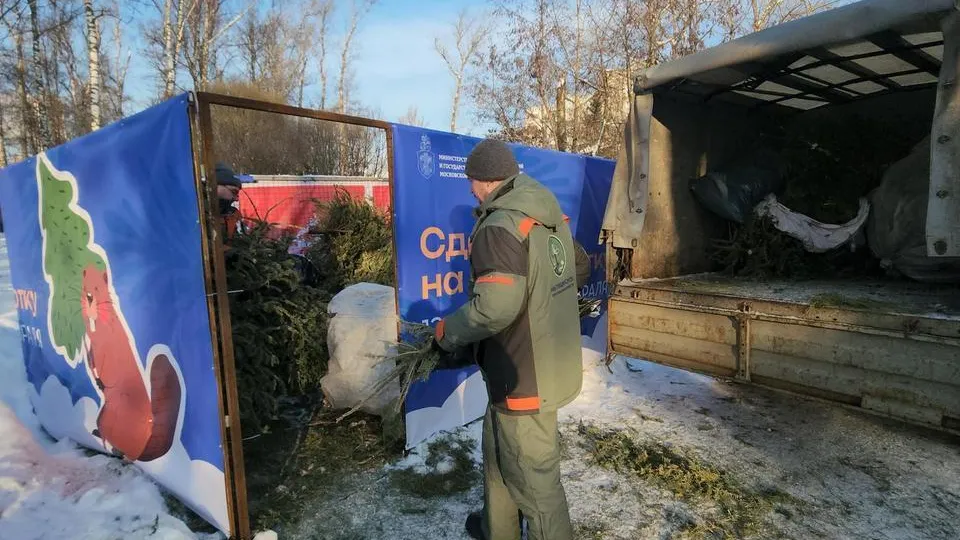МедиаБанк  Подмосковья/Валерия Исаева