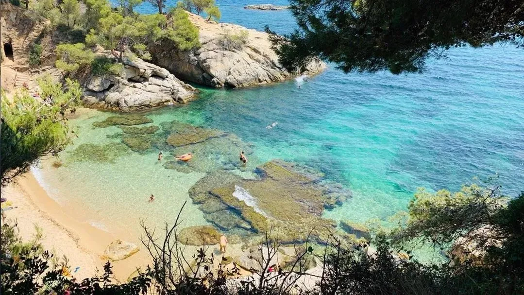 REGIONS/Илья Попов