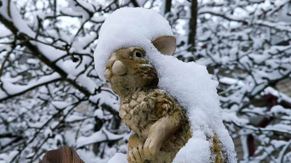 Фото: REGIONS/Роман Малышенко