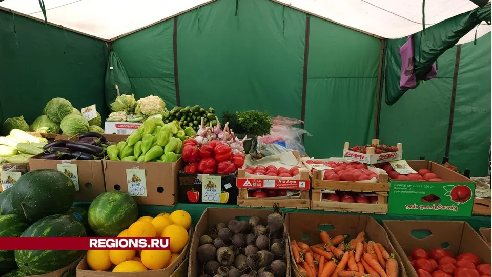 Фото: Хавива Фонина