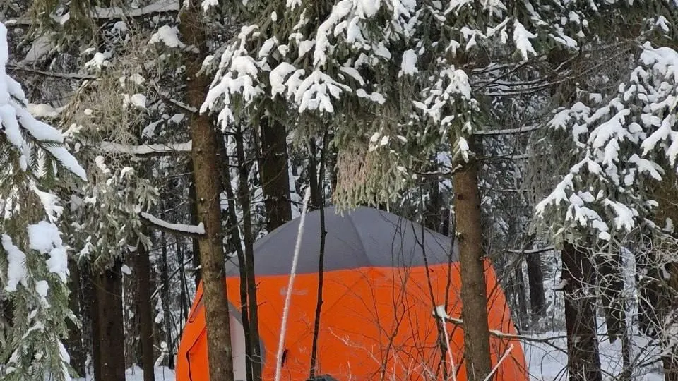 Комлесхоз МО