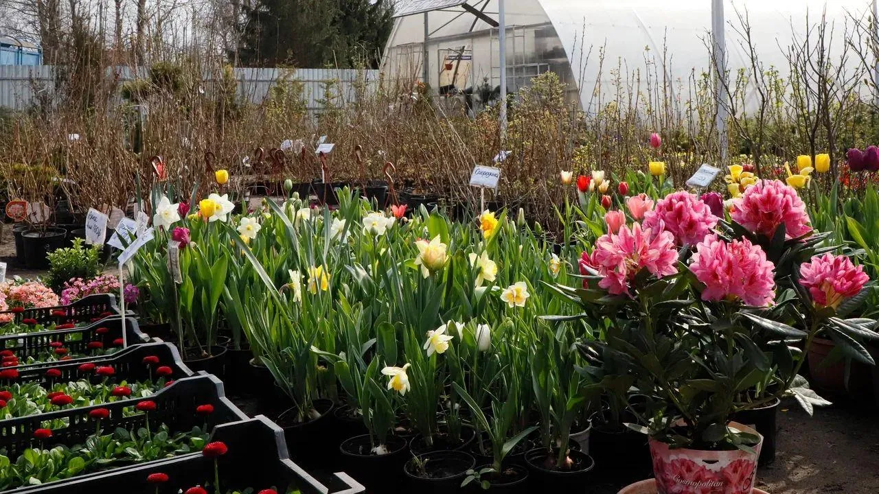 REGIONS/Наталья Надточая