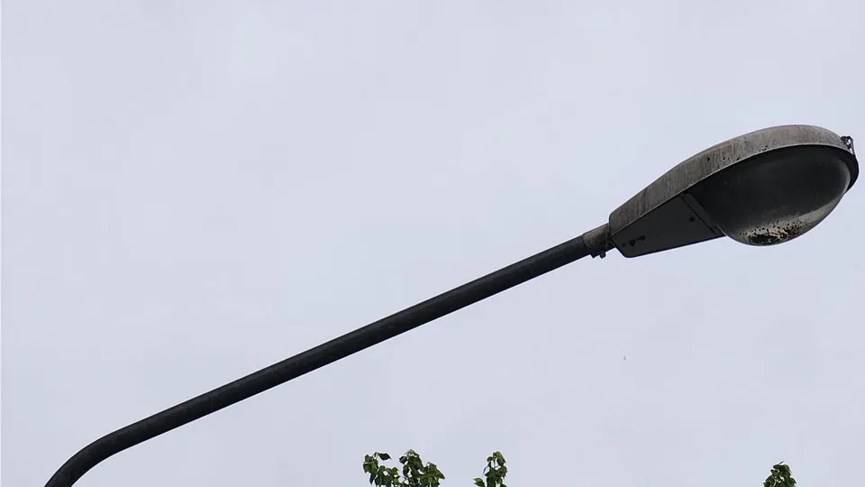 Фото: Роман Савельев