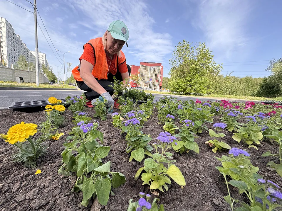 Фото: REGIONS/Мария Шматкова