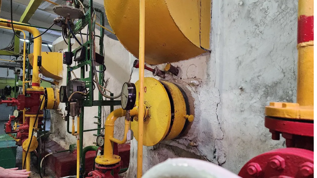 Фото: Светлана Плотникова