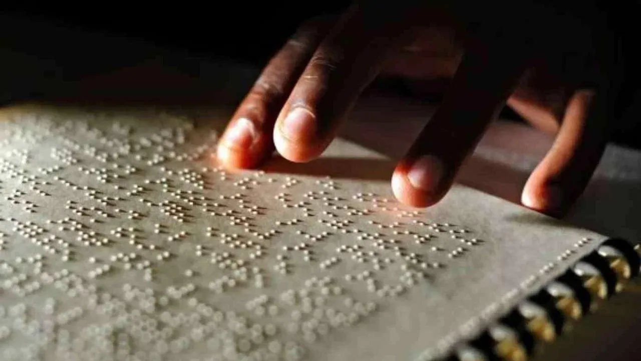 пресс-служба конференции «ТифлОриентир»