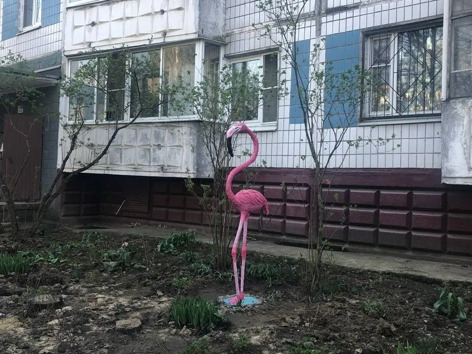 Фото: Дарья Назарова