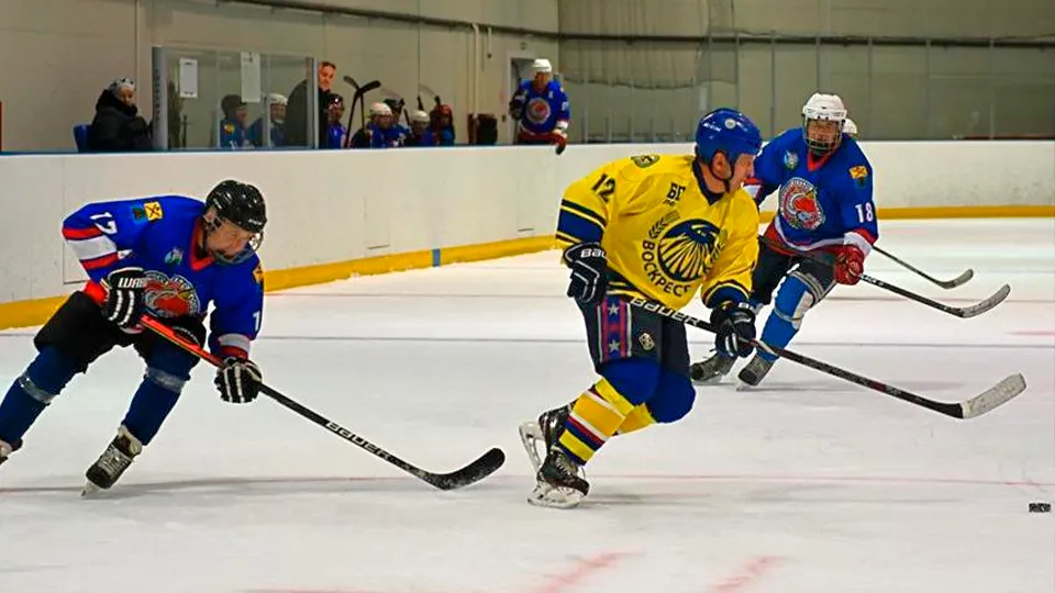 Фото: Зарайский ледовый спортивный комплекс