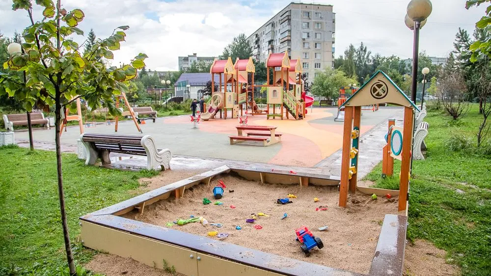 Фото: Пресс-служба администрации Одинцовского г.о.