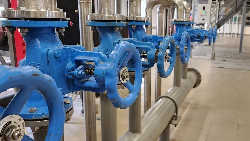 Фото: Наталия Надточая