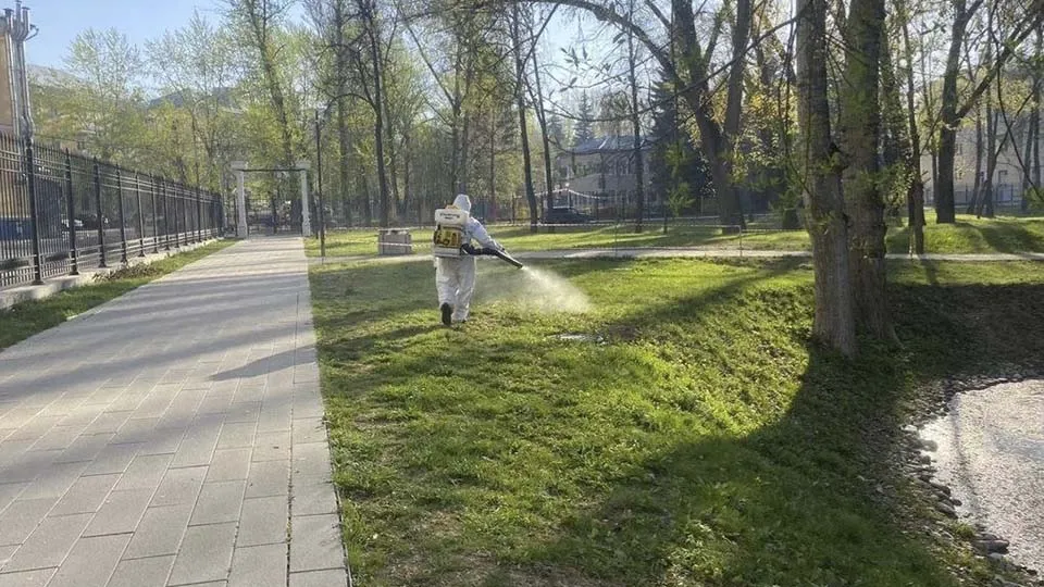 Фото: Министерство благоустройства МО