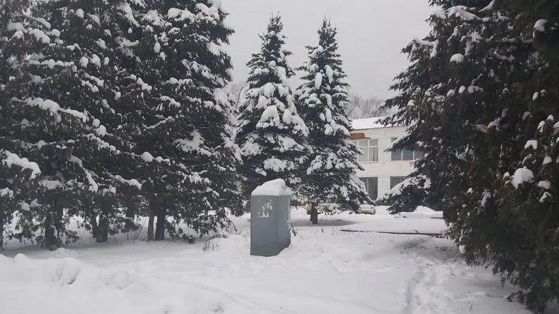Памятник Ленину пропал в Рошале