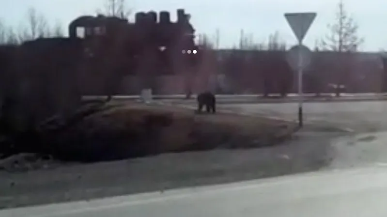 Скриншот видео