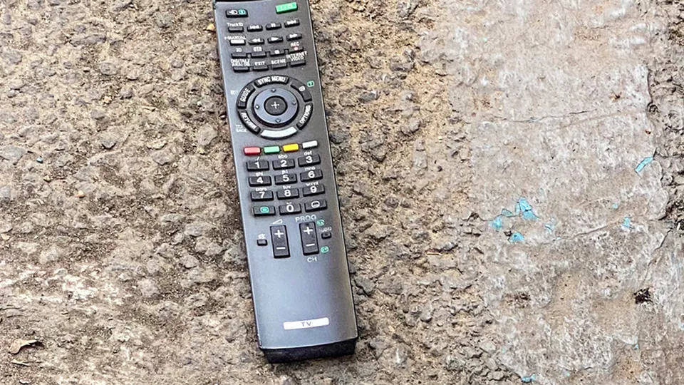 Фото: istockphoto.com