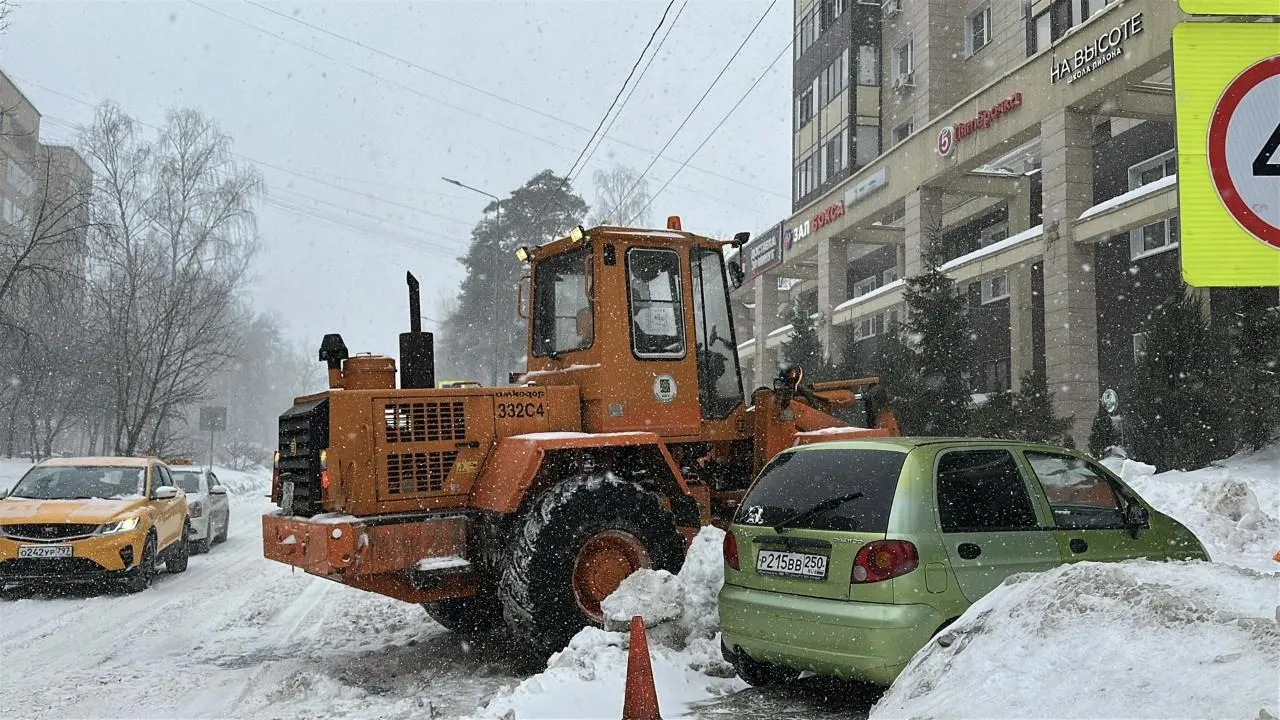 REGIONS/Кристина Тришина