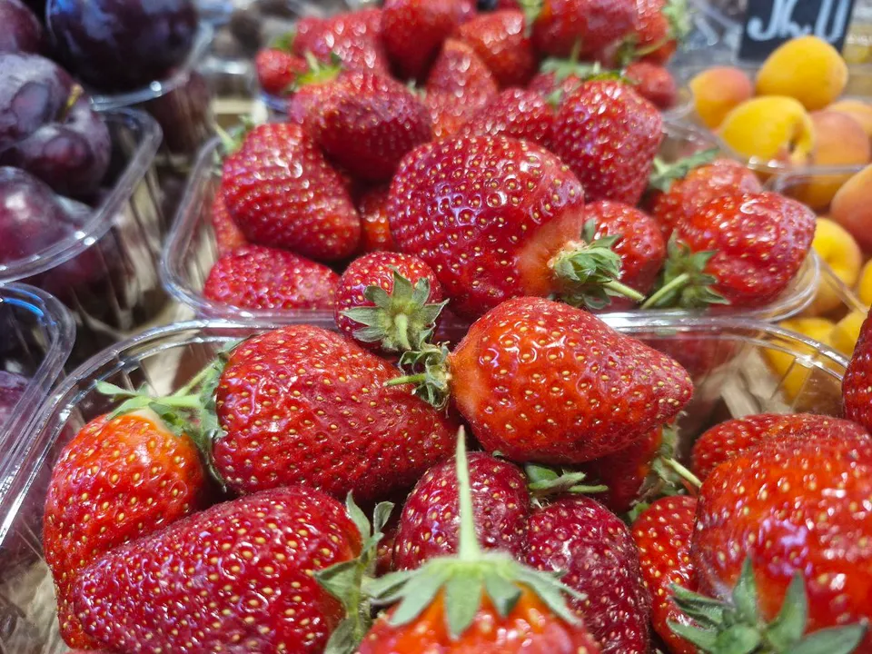 Фото: REGIONS/Наталия Надточая