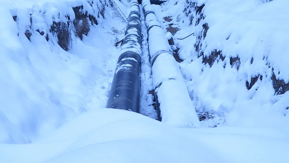 Фото: МедиаБанк Подмосковья/Иван Петрушин