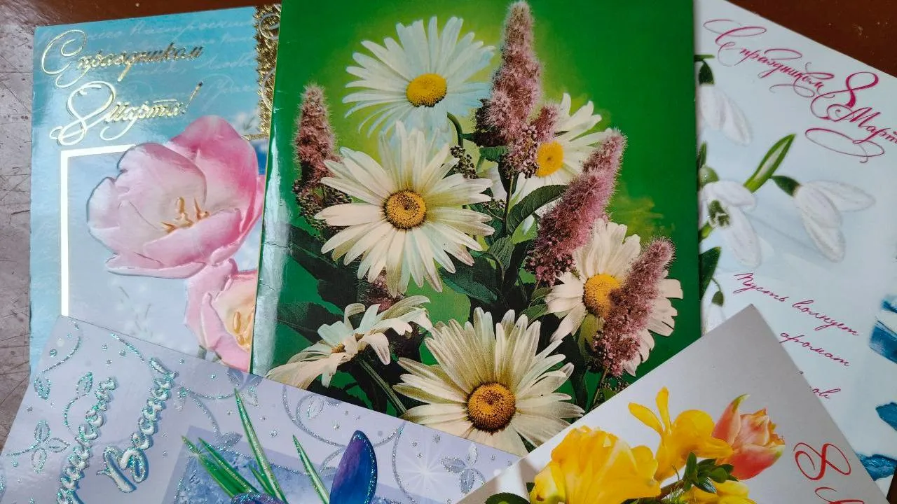 REGIONS/Елена Шахиджанова