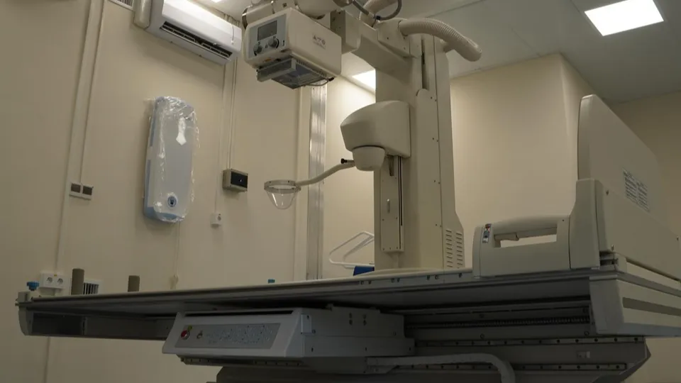 Фото: Дарья Антифьева