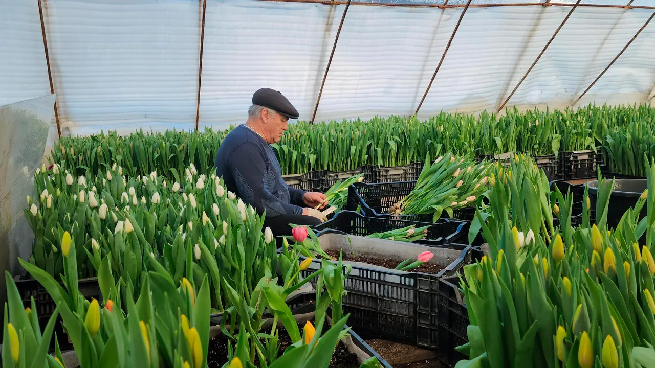 Станислав Орлов