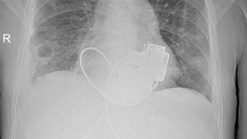 Комздрав СПб