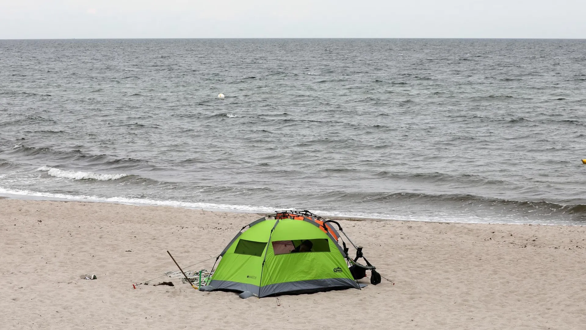 Bernd Wüstneck/dpa/Global Look Press