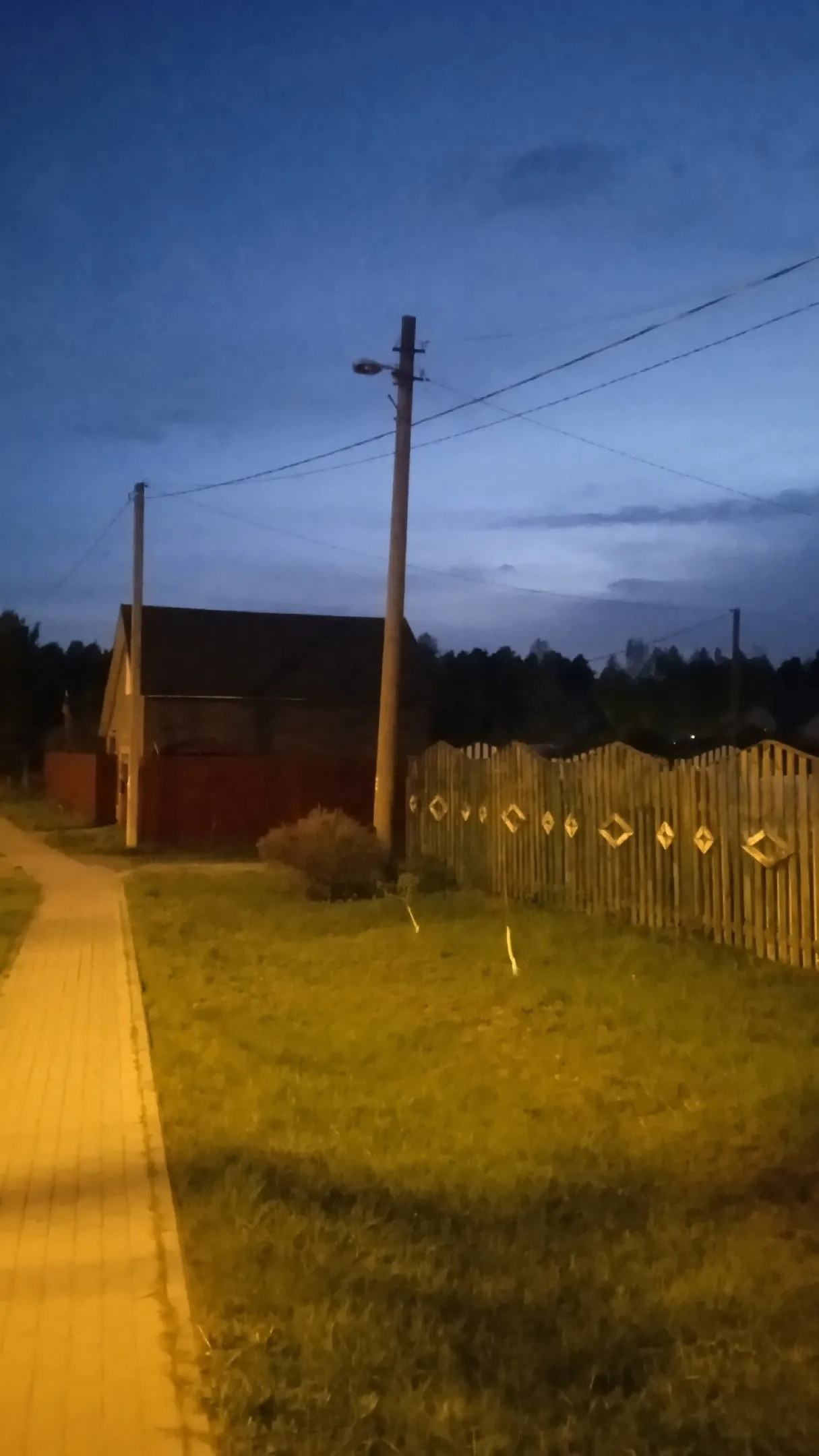 фото: соцсети