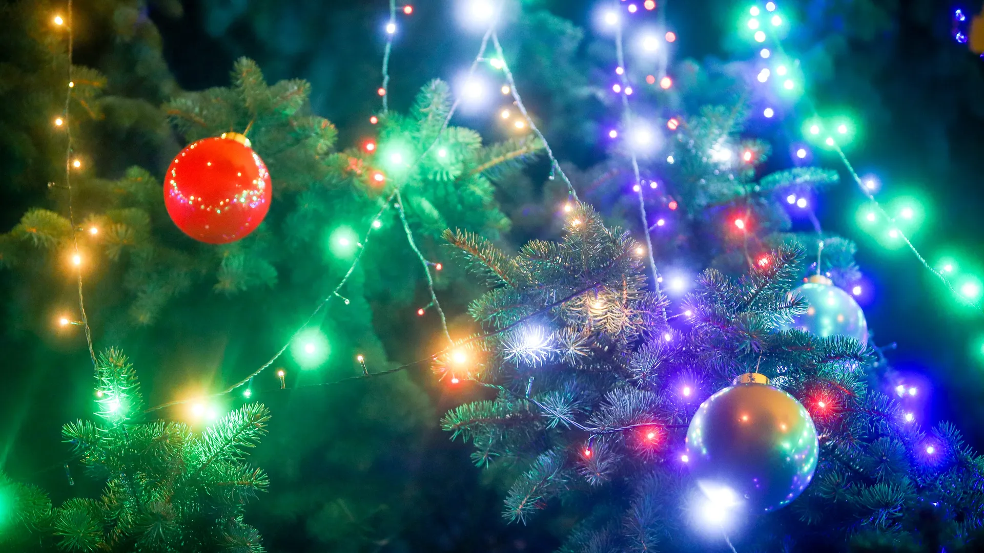 Фото: пресс-служба администрации г.о. Кашира