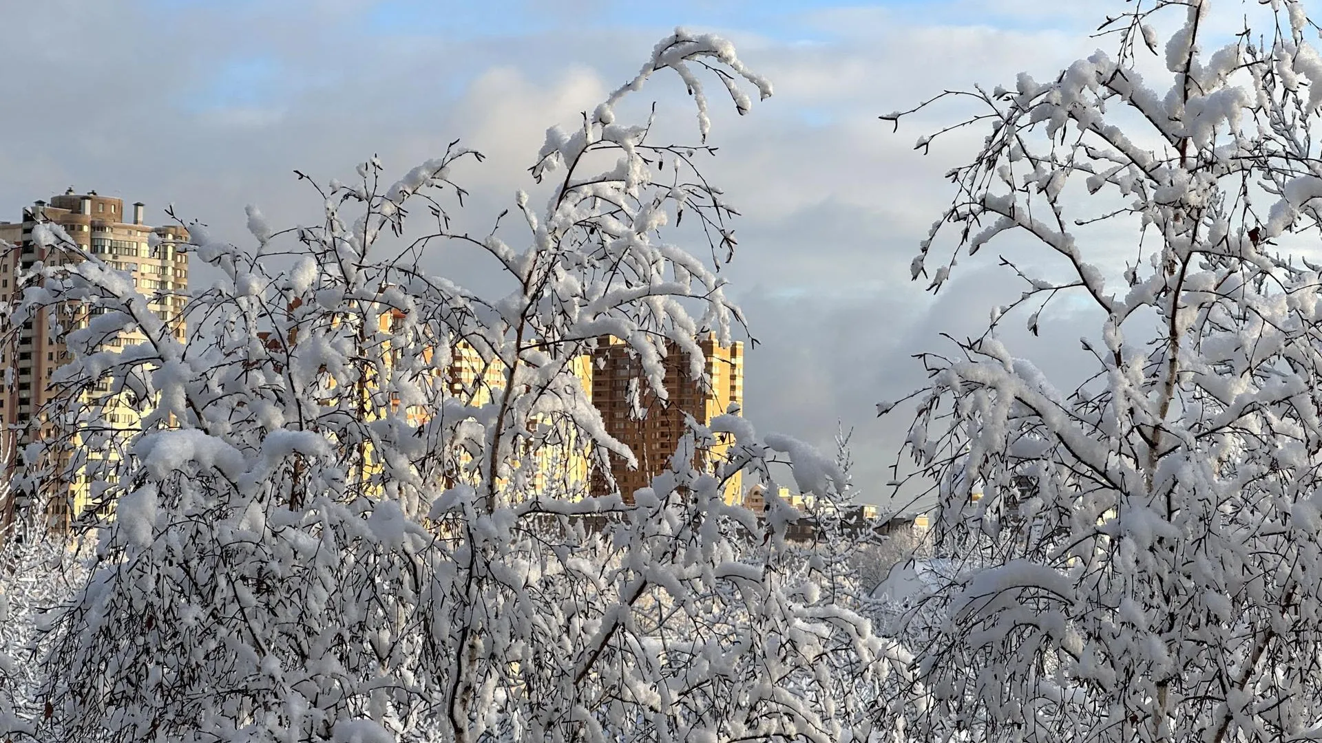 REGIONS/Александр Легкий
