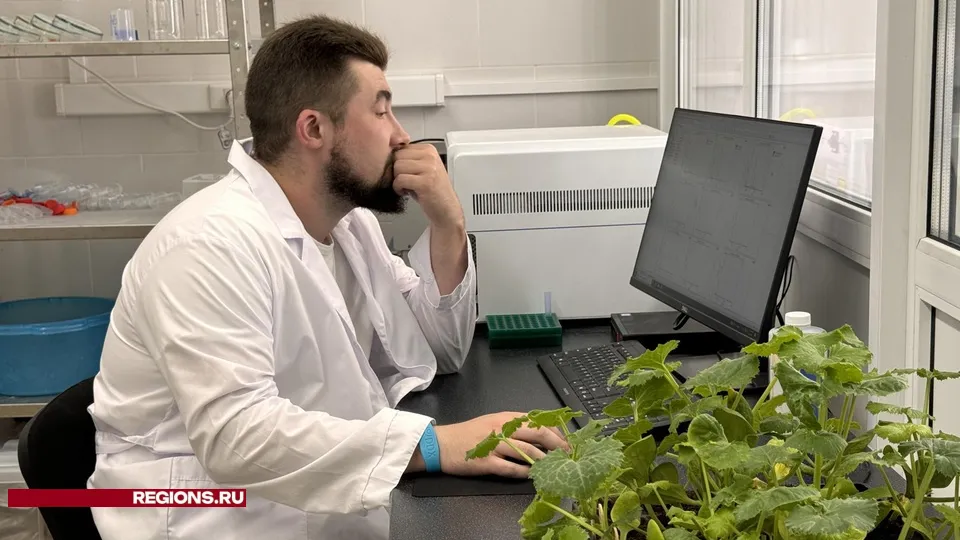 Фото: Мария Шматкова