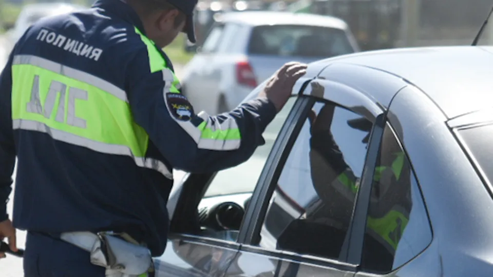 Фото: МедиаБанк Подмосковья/Ольга Антонова