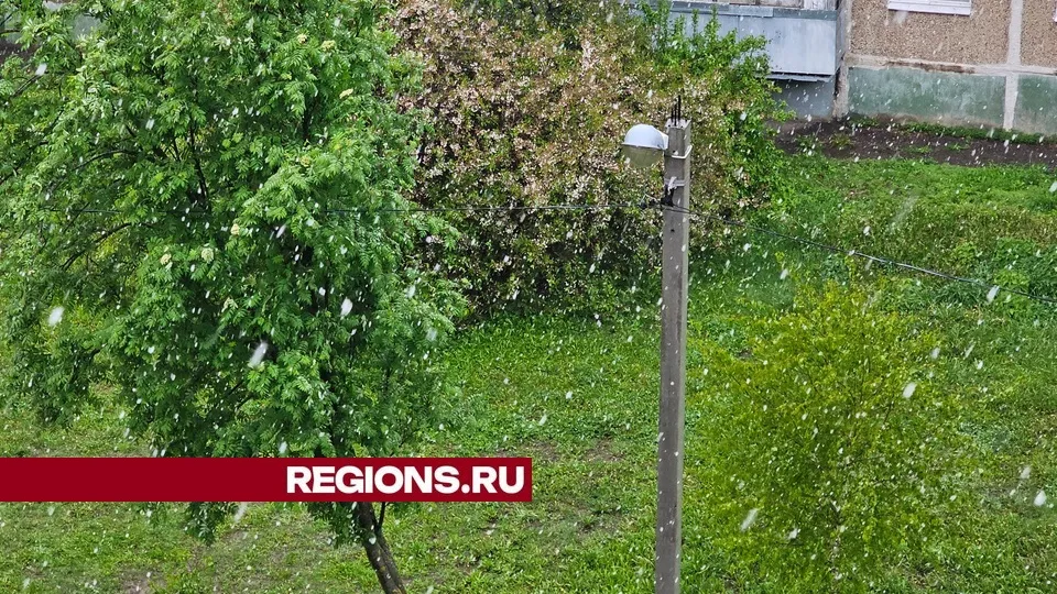 Фото: Александр Дрожжин