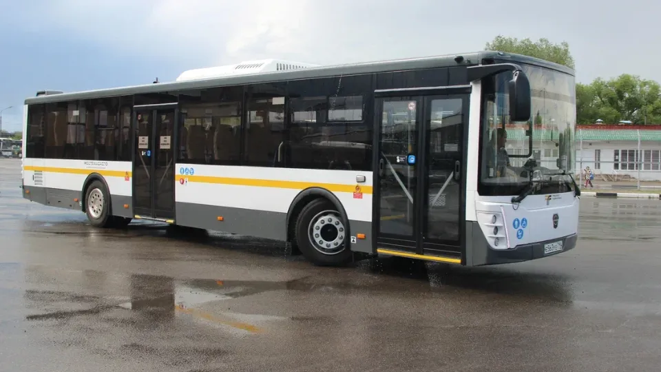 Фото: REGIONS/Василий Тремасов