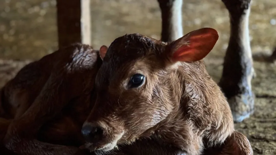 Фото: пресс-служба администрации Орехово-Зуевского г.о.