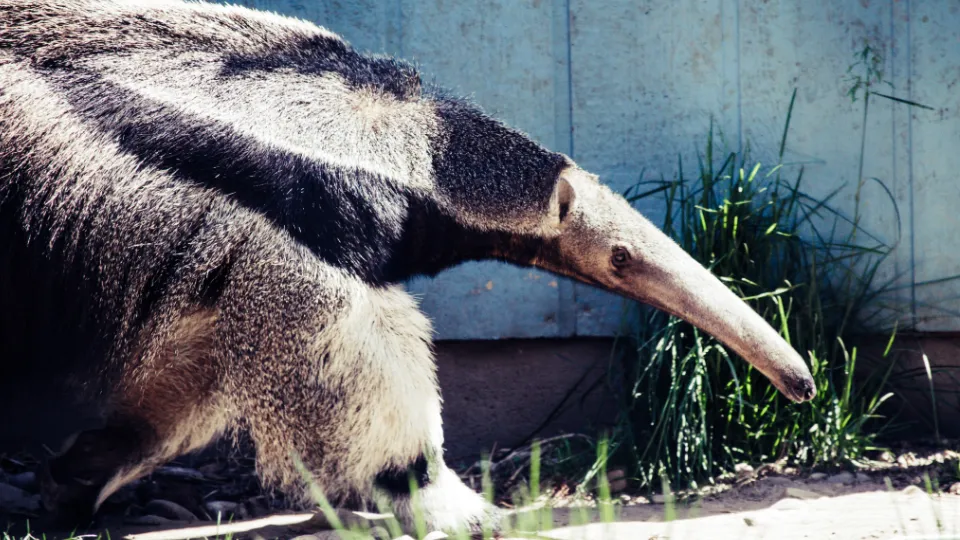 Фото: pxhere.com