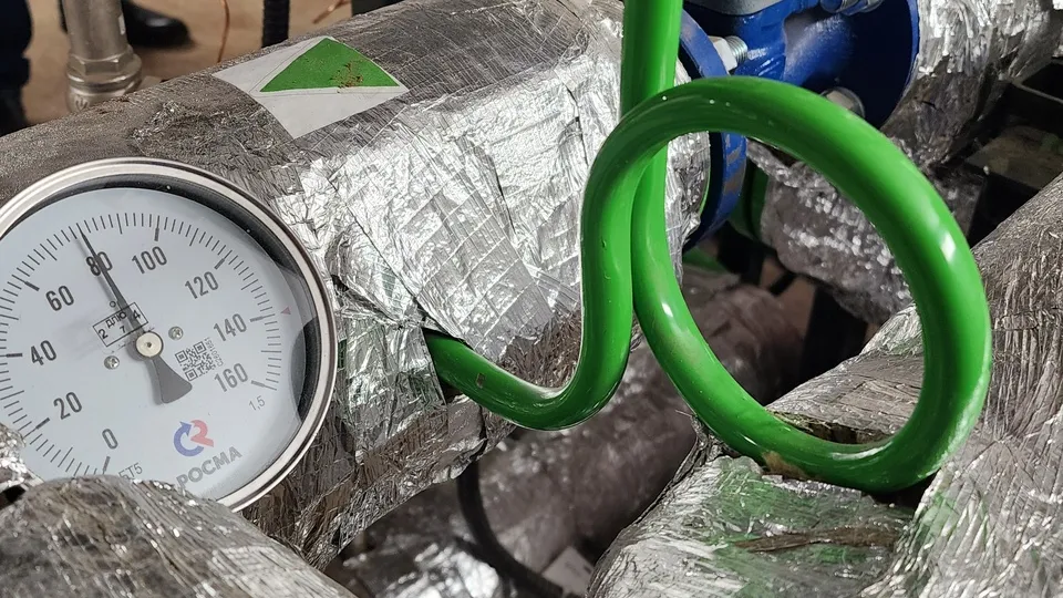 Фото: МедиаБанк Подмосковья/Мария Юдина