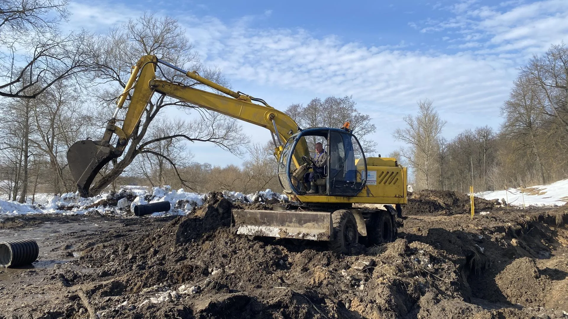 Анна Артюшина