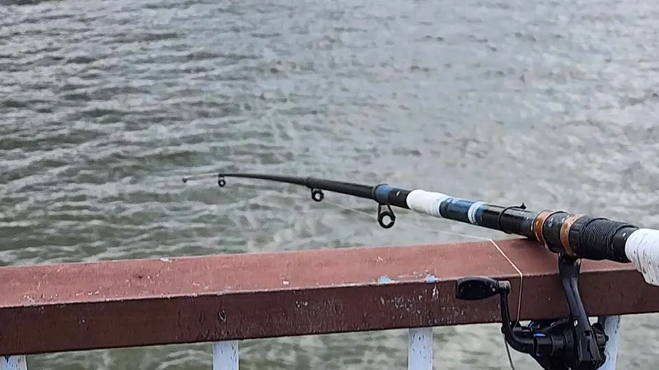 Фото: МедиаБанк Подмосковья/Валентина Максимова