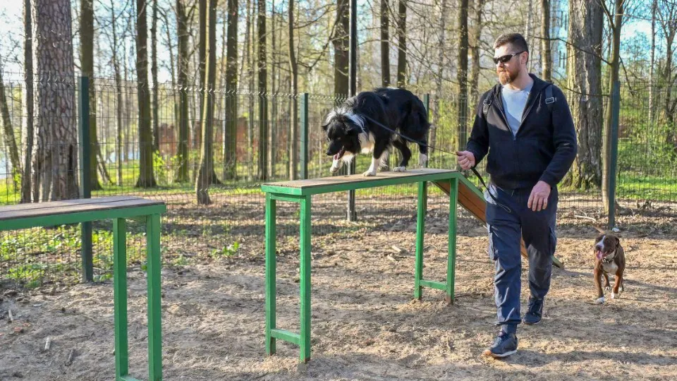 Фото: пресс-служба администрации Сергиево-Посадского г.о.