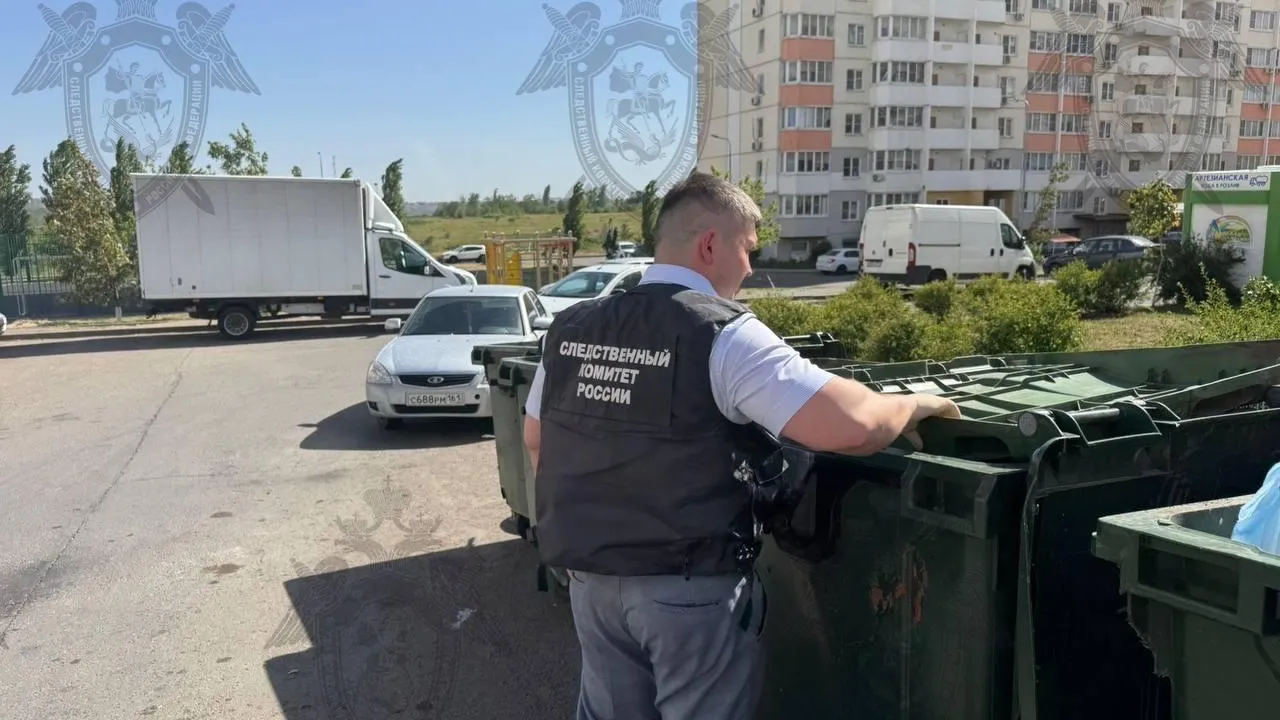 Пресс-служба СК по Ростовской области