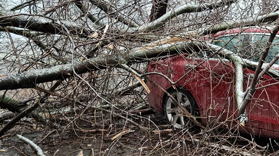 Фото: ТАСС/Алексей Голенищев
