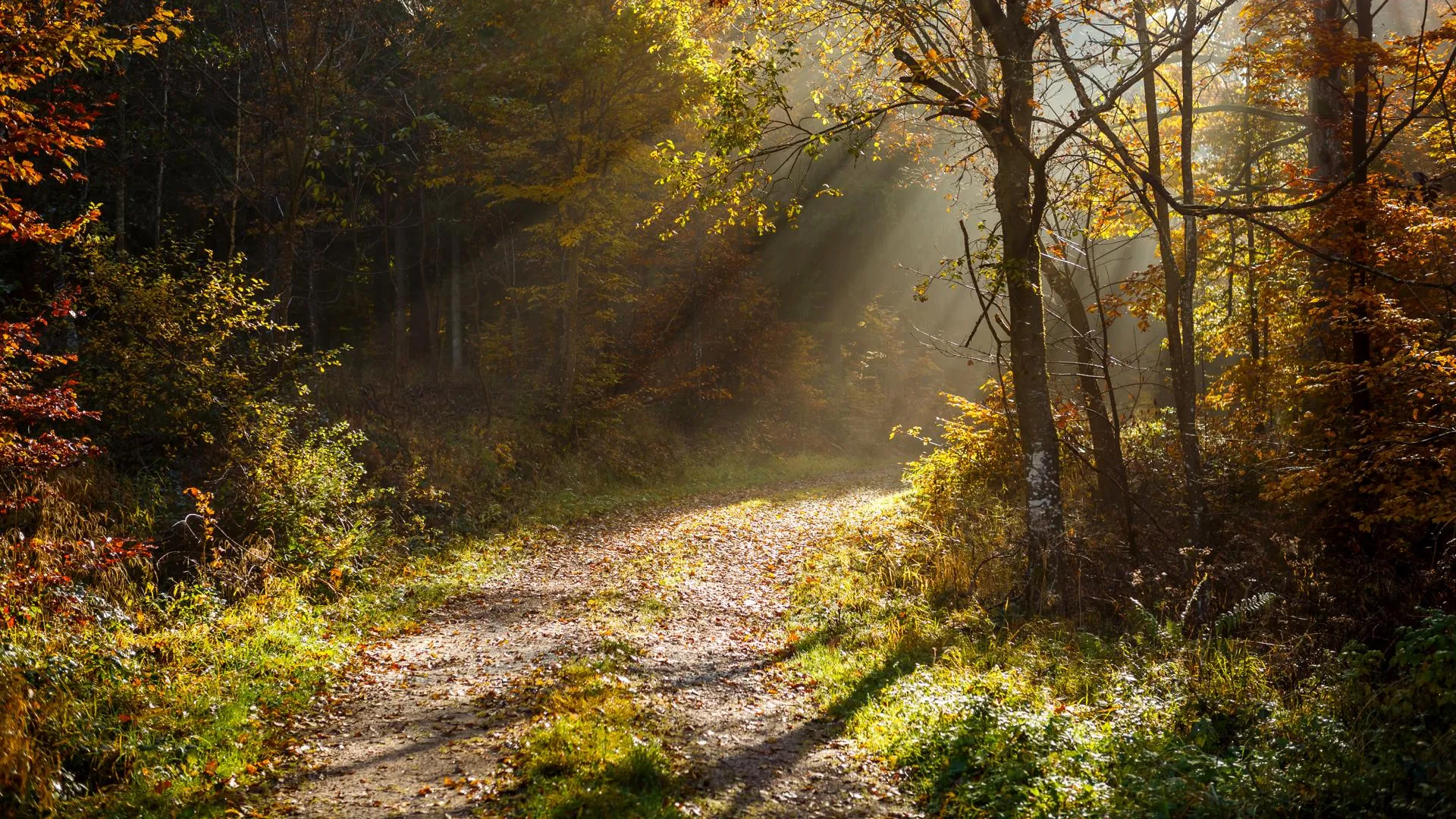 Image by wirestock on Freepik