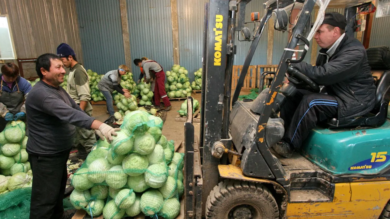 Фото: медиасток.рф