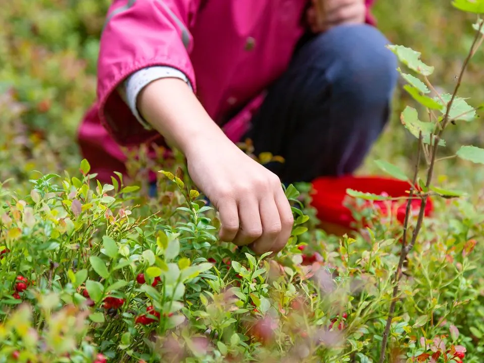 Фото: istockphoto.com