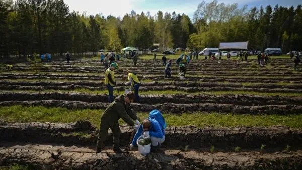 Более 3,5 тыс спортсменов из МО примут участие в акции «Наш лес»