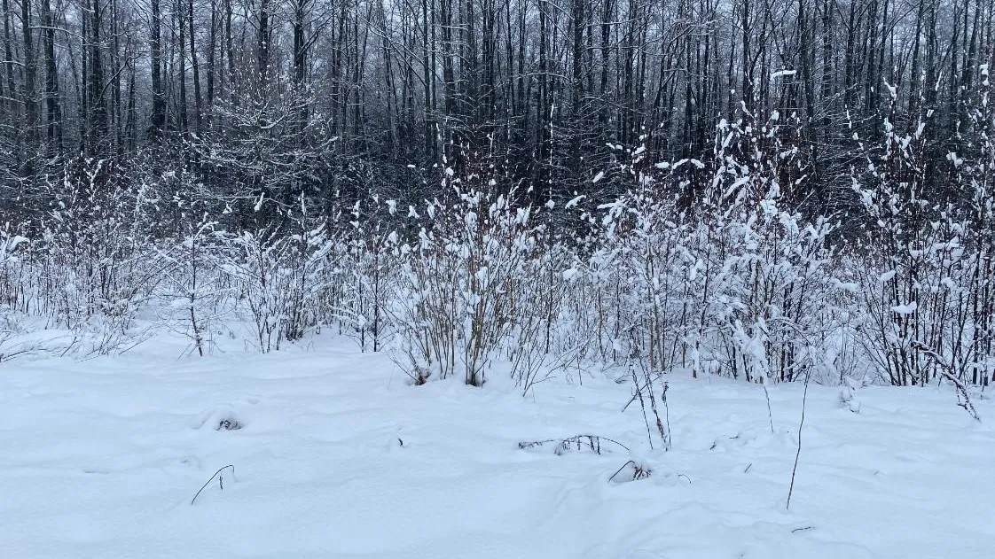 Фото: Комитет по конкурентной политике Московской области