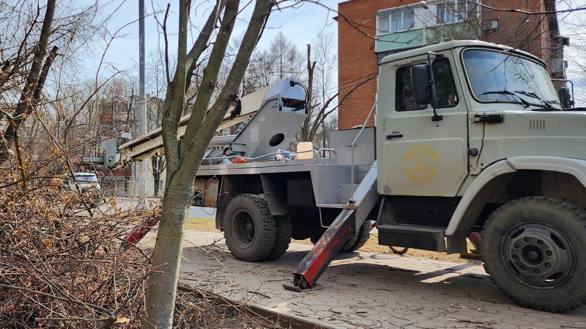 Фото: МедиаБанк Подмосковья/Анастасия Сараева